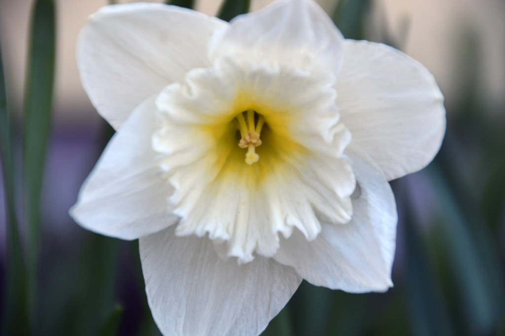 Foto Urmas Saard