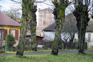 Johann Christoph Wöhrmanni puiestee Foto Urmas Saard