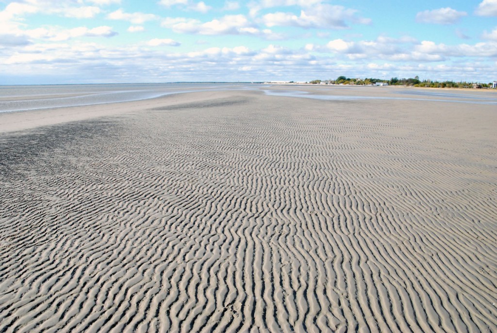 Pärnu rannaliival võib peaaegu kuiva jalaga jalutada kaugemale, kui kaunil suvepäeval vetelpääste lubaks suplejatel ujuda Foto Urmas Saard