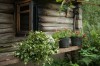 Foto: Piret Almiste