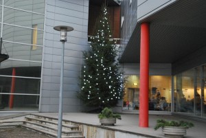 TÜ Pärnu kolledž Foto Urmas Saard