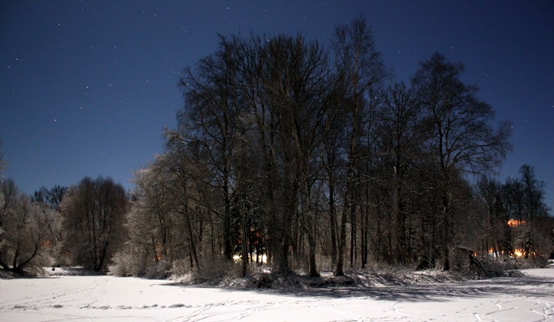 Tähesära ja lumehelk teevad vastastikku silma. Foto: Aare Puht
