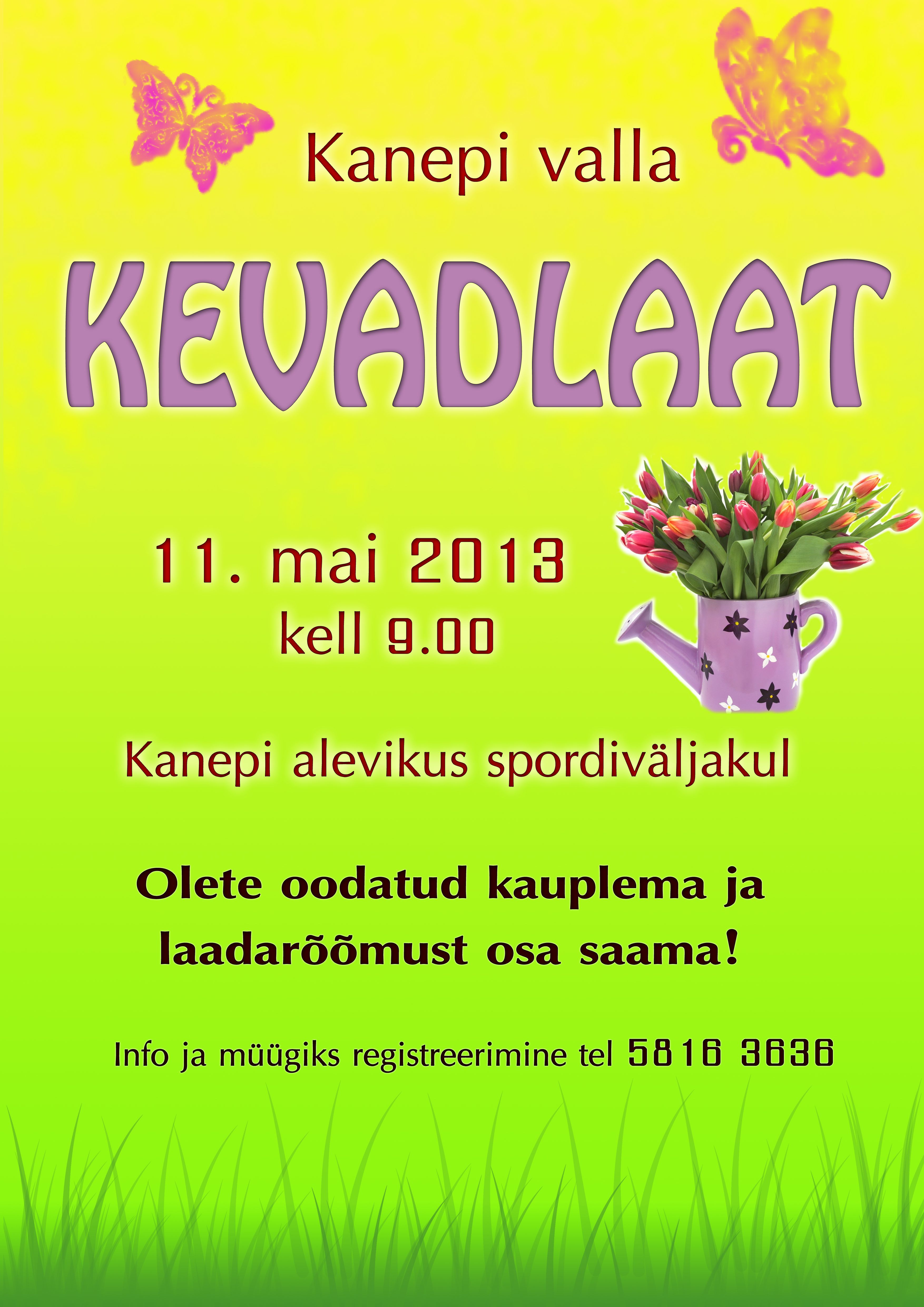 kevadlaat2013